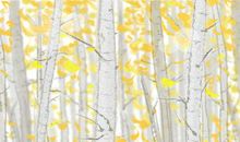 测你2019年是正财多还是偏财多