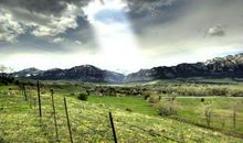 11月财运回升的四大生肖，福气满堂红，得贵人相助