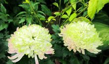 事业心很强的4属相，做事踏实，年底有更高的成绩，好好享受生活