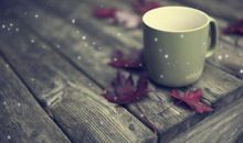 2019年猪年，财运会好转的生肖