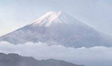 属羊的妈妈不适合生什么属相的孩子(图文)