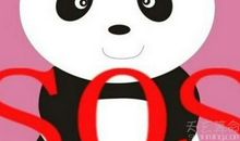 熊猫血的人好不好 熊猫血者献血的意义很大