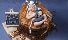 2019猪年男孩名字大全