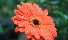 三属相中秋节前后财福双至，从此运势一路高涨，喜从天降