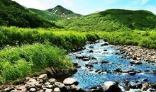 21号运势上升，22号财运亨通，三大生肖有望横财千万