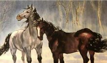 不同月份生肖马的最佳伴侣 属马的最佳配偶