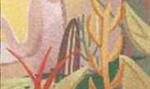 会参加马拉松的是什么面相(图文)