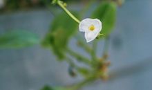 9月喜从天降，运势逆袭在即，正财难挡，富贵滚滚来的属相