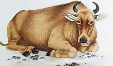 2019年3生肖送走霉运迎财神，富贵吉祥接好运，钱途无量