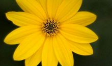 2019年千万钞票涌进门，赚钱赚得乐不思蜀的生肖，钱财大旺