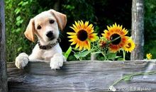 宁空间塔罗屋 一周星程 10月20日-10月26日 继续白羊座满月