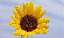 2019年强势转运，一路赚钱不断的生肖，人生大吉，吉祥富贵