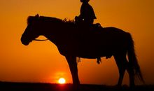 神叨酱一周塔罗运势（8.26-9.1）