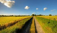 8月26日开始，横财天降一夜暴富钞票如雨，数钱数到手软3生肖