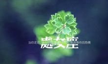 处女座男生的性格缺点 固执的完美主义者