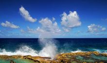 你的心是否脆弱得如玻璃般易碎？