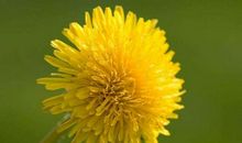 财气亨通，遍地生金的生肖，2019年财利丰厚，家财万贯不是梦