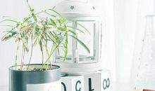 上天给了这些生肖无数发财的机会！