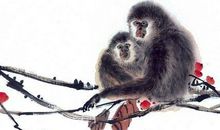 玄清风水命理：本月能得贵人点拨，事业蒸蒸日上，名利双收的3大生肖！