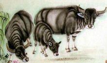 有了此3生肖的媳妇，再也不跟别人比老婆，上厅堂下厨房样样好