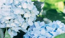 这三大星座不生气的时候，或许比生气还可怕！