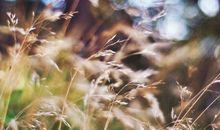 11月摆脱穷苦，富贵多金，幸福到老，存款翻几番且生活惬意的星座