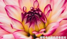 十二生肖中，未来7天财星高照，好运不断、财富爆发的3大生肖