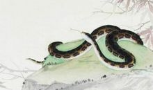 3生肖今年生活质量大打折扣，明年翻身把钱赚，从穷转富贵