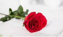 进入中旬后吉星入驻，颓势消散的3生肖，财来滔滔，生活倍加顺心