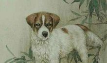 家有此3生肖的媳妇就是福气，老公财运旺连连，孩子成绩不垫底