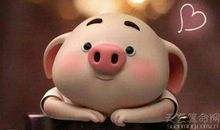 属猪起名宜用哪些字 猪宝宝名字适合用的字大全