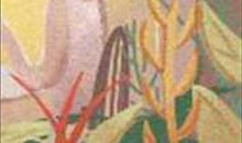 鼻子塌的人性格怎样(图文)