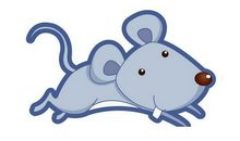 属鼠的人最怕什么属相 生肖鸡和生肖虎