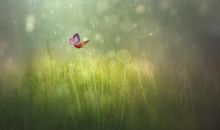 未来三年福气延绵，喜事多多，财源滚滚来，富贵又多金的3大生肖