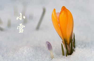 2019年小雪节气适合搬家吗？搬家有什么讲究？(图文)