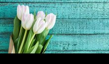 3属相，大喜天降，大财临门，8月底鸿运缠身，金银滚滚发不停