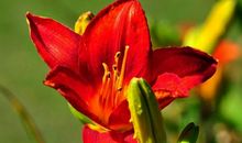 从11月开始，好运找上门，财神光顾，财运极佳，事事顺利的3生肖