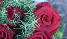 11月稳妥赚钱，轻松发展的生肖，成堆钞票赚进家，后福无穷