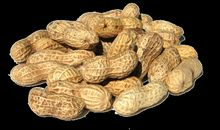 梦见花生会幸福，如果出行最好找同伴