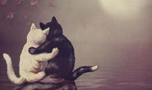 属猪和什么合得来 情投意合的属相