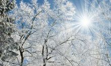 2019年12月7日大雪财神吉位在什么方位,几点几分是大雪节气？(图文)