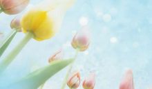 原创 十二生肖中，进入下旬后时运转旺，聚财不断，越来越富有的3生肖