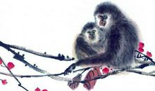 天生聪明，最喜欢玩文字游戏的三大生肖，你上榜了吗？