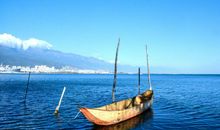 存款飙涨的3属相，10月22.23号，喜鹊喳喳叫，喜抱金砖