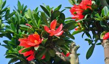 2020年运势上上签，天神赐福，送来无数横财，家中喜气满的四属相