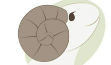 命运决定在自己手里， 看看这3个星座，如何去逆袭！