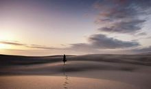 傲骨铮铮，恋爱中，也学不会依赖另一半的生肖