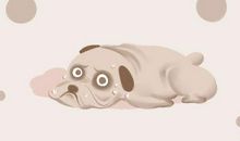 女人梦到狗咬左手臂是什么寓意