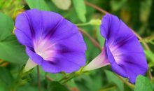 下半年，人生大转折，横财当道，遍地“捡”黄金的3属相