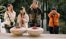 15天内运势好的出奇，存款暴涨，变身大富豪的3生肖